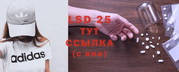 ГАЛЛЮЦИНОГЕННЫЕ ГРИБЫ Алексин