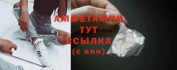 ГАЛЛЮЦИНОГЕННЫЕ ГРИБЫ Алексин