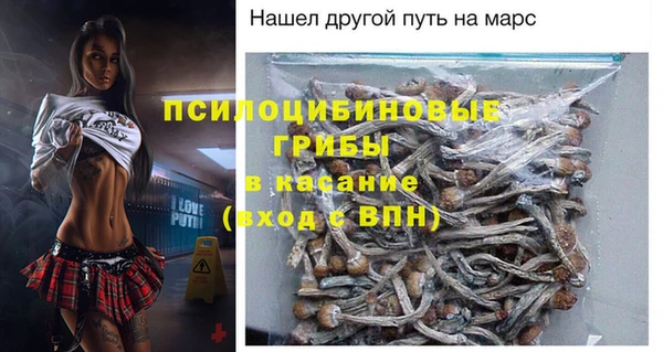 хмурый Алексеевка