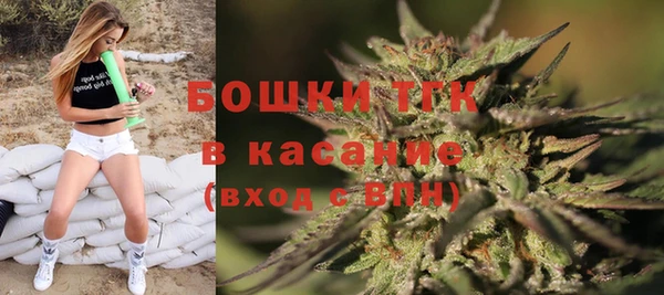ГАЛЛЮЦИНОГЕННЫЕ ГРИБЫ Алексин