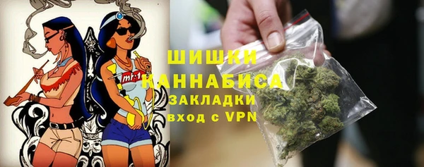 ГАЛЛЮЦИНОГЕННЫЕ ГРИБЫ Алексин