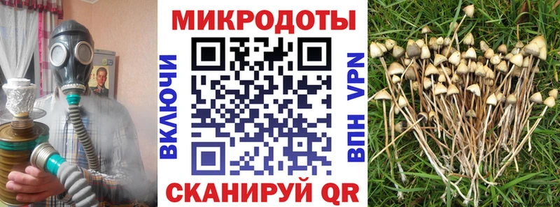 Псилоцибиновые грибы Cubensis  Поронайск 